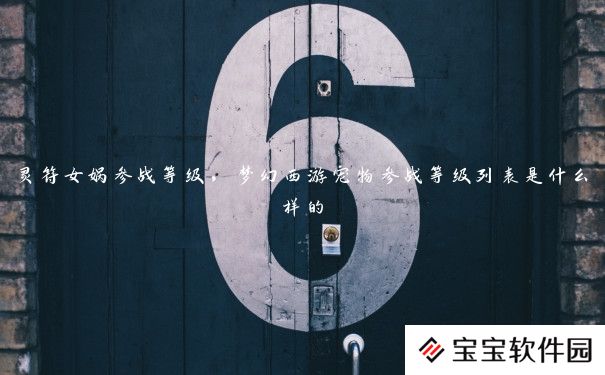 灵符女娲参战等级，梦幻西游宠物参战等级列表是什么样的