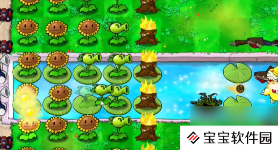 植物大战僵尸抽卡版冒险模式3-8怎么过