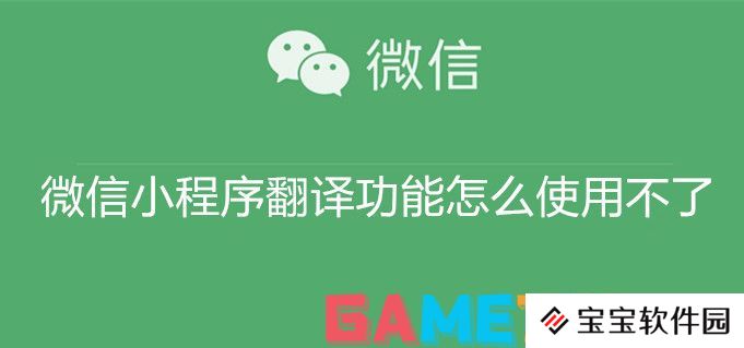 微信小程序翻译功能怎么使用不了 微信小程序翻译功能使用不了原因