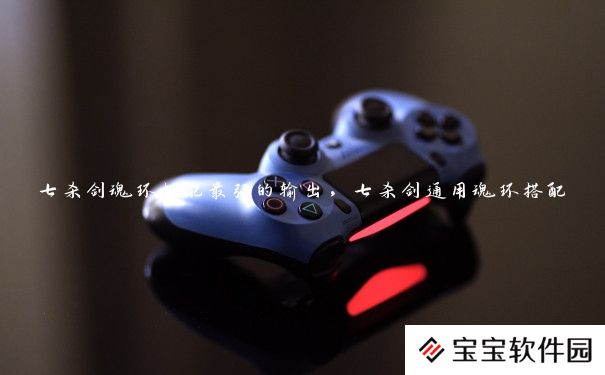 七杀剑魂环搭配最强的输出，七杀剑通用魂环搭配