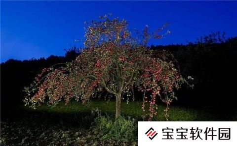 SCP基金会档案库：SCP-038“万象树”